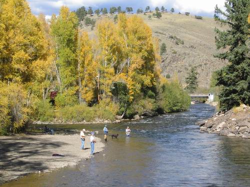 Fly Fishing 